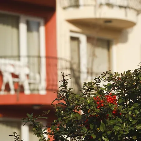 Szonyi Garden Pest 3*