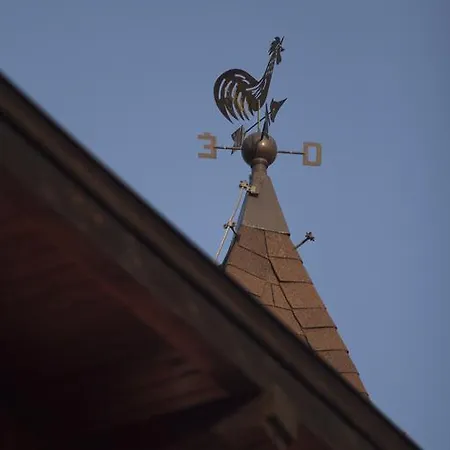 스유니 가든 페스트