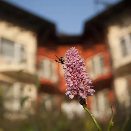 Szálloda Szőnyi Garden Pest 3*