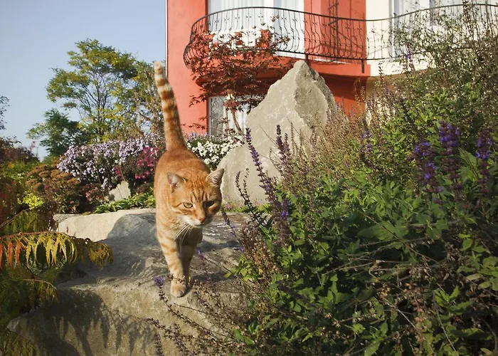 Szonyi Garden Pest Hotel Budapesta