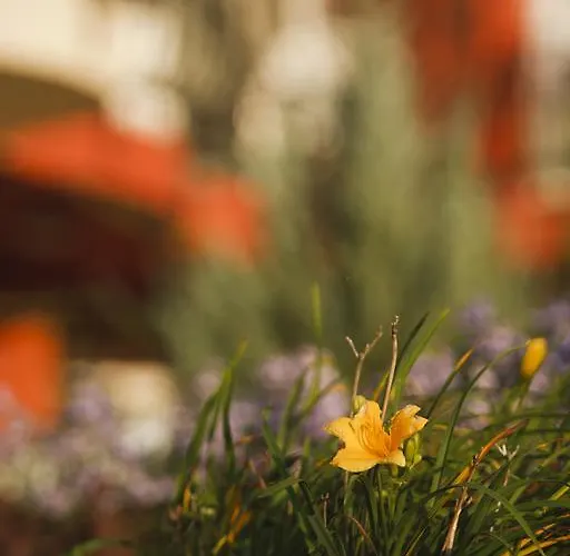 Szonyi Garden Pest 3* Budapesta