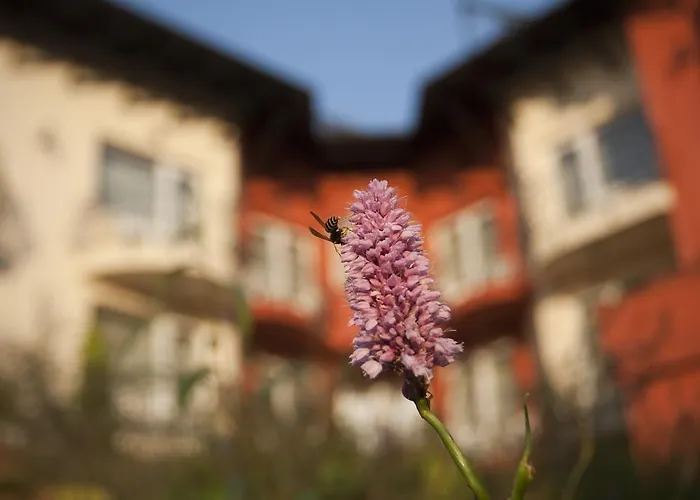 Hotel Szonyi Garden Pest 3*