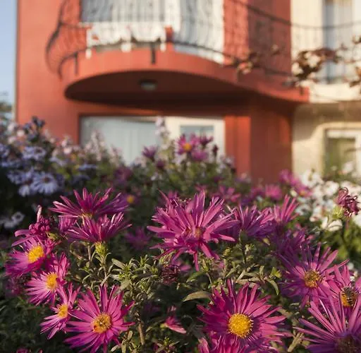 Szonyi Garden Pest Hotel 3*