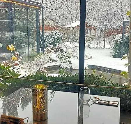 Szonyi Garden Pest 3*