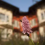 Hotel Szonyi Garden Pest 3*