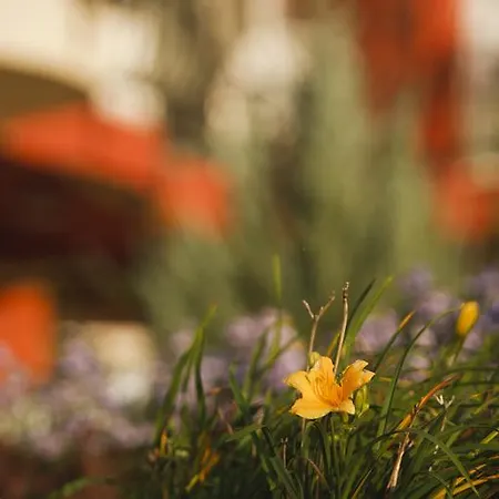 Szonyi Garden Pest 3* Budapest