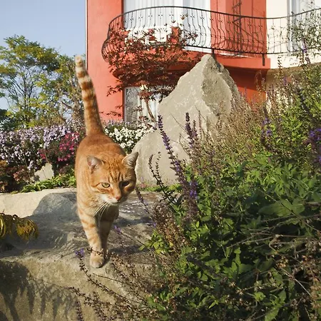 Szonyi Garden Pest Hotel Budapest