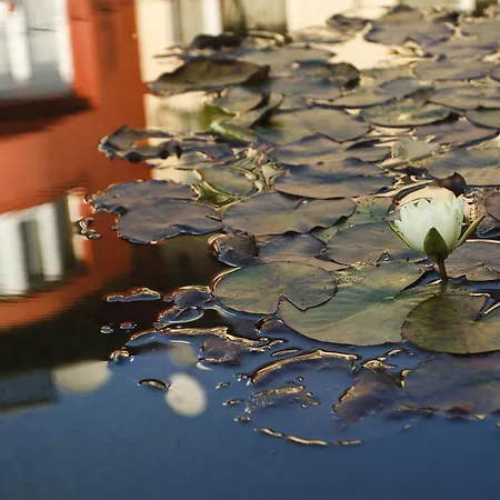 Szonyi Garden Pest 3* Budapest